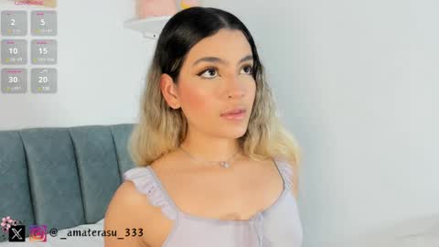 Snapshot of amaterasu_333 chatting on 4, 3, 2025  Mar  independent model  online show from 4, 3, 2025