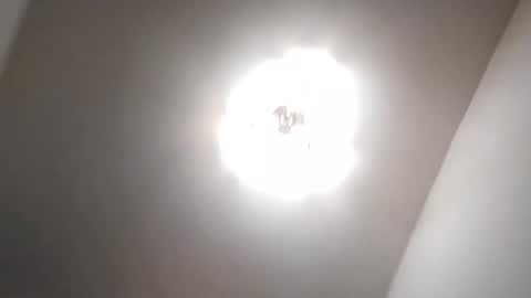 Petruss s Csabesztoo online show from 17, 1, 2025