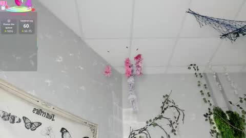 Ameli online show from 14, 2, 2026