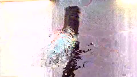 amiri_sweater online show from 27, 11, 2025