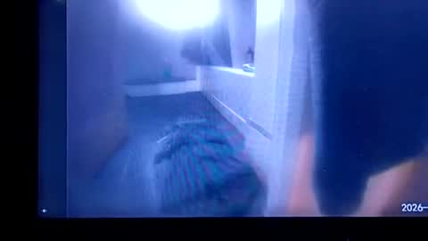 Snapshot of ammoman22 chatting on 30, 7, 2026 ammoman22 online show from 30, 7, 2026