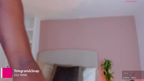 AMMY online show from 20, 3, 2026