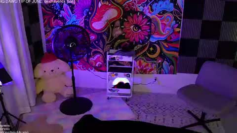 Snapshot of amphetameme chatting on 14, 6, 2026 sierra online show from 14, 6, 2026