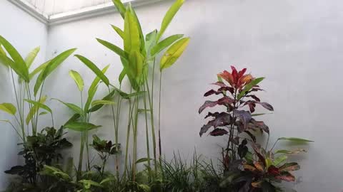 girl next door named Amy online show from 2, 3, 2025