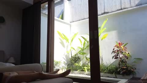 girl next door named Amy online show from 3, 3, 2025