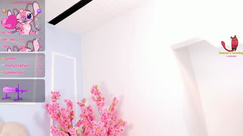 Amykord online show from 19, 1, 2025