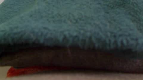 anaiserebel online show from 4, 1, 2025