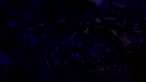 anal_stoner69 online show from 4, 12, 2024