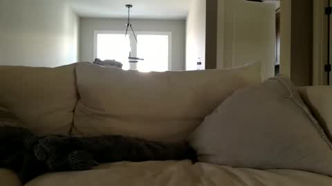 Andees222 online show from 19, 12, 2025