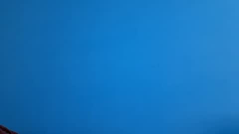 And 16.8 online show from 21, 11, 2025