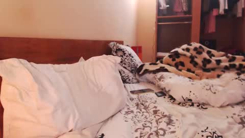 Andra online show from 27, 1, 2025