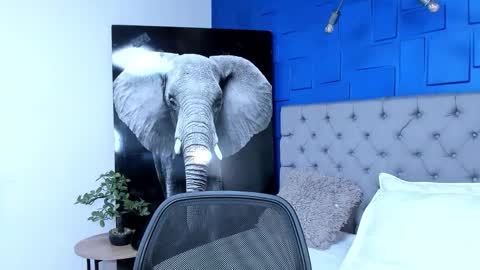 Snapshot of andres_clark chatting on 26, 9, 2025 insta andres clark online show from 26, 9, 2025