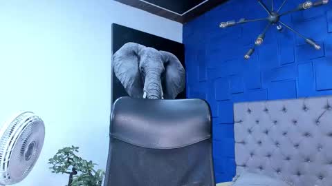 Snapshot of andres_clark chatting on 26, 10, 2025 insta andres clark online show from 26, 10, 2025