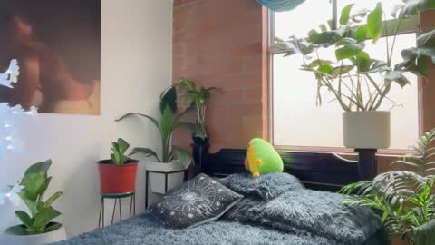 Andy online show from 5, 2, 2026