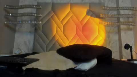 Snapshot of andypalmer_ chatting on 5, 1, 2025 andy palmer online show from 5, 1, 2025
