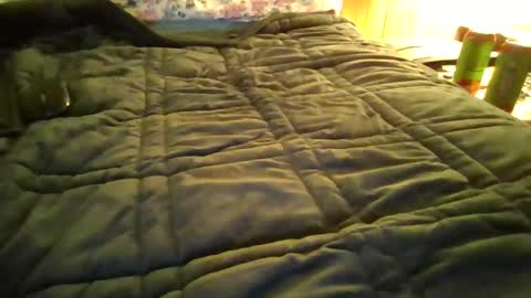 Snapshot of andywan94 chatting on 20, 1, 2025 andywan94 online show from 20, 1, 2025