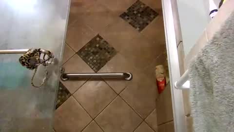 Snapshot of andywan94 chatting on 7, 2, 2025 andywan94 online show from 7, 2, 2025