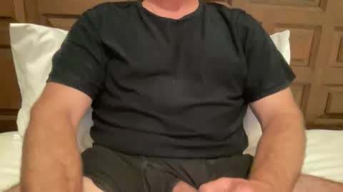 anewsummer online show from 11, 11, 2025