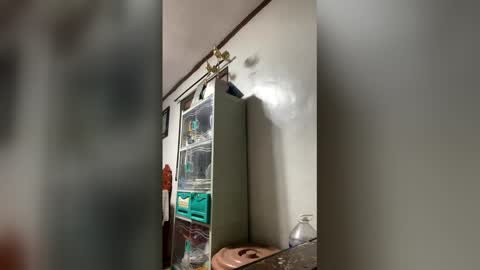 Snapshot of ange011 chatting on 23, 3, 2026 ange011 online show from 23, 3, 2026