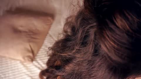 Snapshot of angelicapretybb chatting on 20, 1, 2025 Angelica online show from 20, 1, 2025