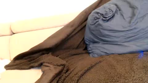 Angelica online show from 6, 11, 2025