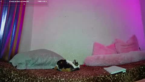 Snapshot of angelsdustxxx chatting on 13, 5, 2026 online show from 13, 5, 2026