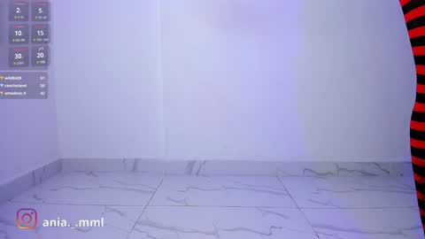 Snapshot of ania_mml chatting on 3, 2, 2025 Ania online show from 3, 2, 2025