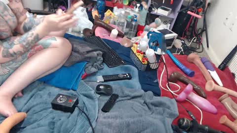 Twitter at animegamergrl. No vids for sale on Chaturbate. online show from 8, 6, 2026