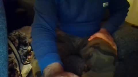 DesiGuy online show from 8, 12, 2024