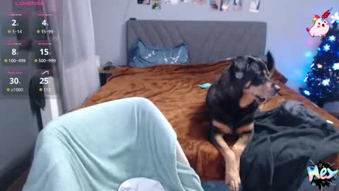 Anadirectgirl online show from 31, 12, 2024