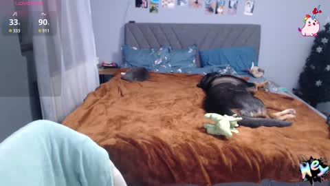 Anadirectgirl online show from 8, 1, 2025