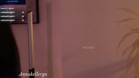 Snapshot of annakellergo chatting on 16, 12, 2024 Anna k online show from 16, 12, 2024