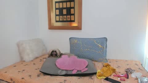 Snapshot of annavalente_ chatting on 26, 2, 2025 anna online show from 26, 2, 2025