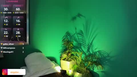 Snapshot of anne_babb chatting on 15, 2, 2025 ANG online show from 15, 2, 2025