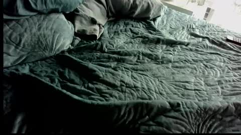 Anonpov couple online show from 28, 2, 2026