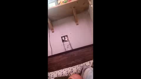 anthony9168 online show from 25, 3, 2026