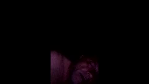 Snapshot of anthony9168 chatting on 16, 5, 2026 anthony9168 online show from 16, 5, 2026
