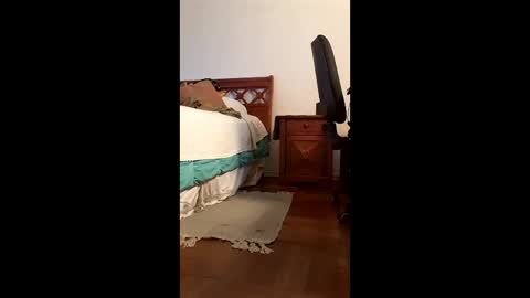 antonino85 online show from 20, 2, 2026