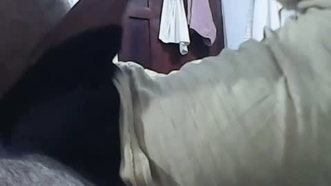 Snapshot of anupam373 chatting on 20, 1, 2025 anupam373 online show from 20, 1, 2025