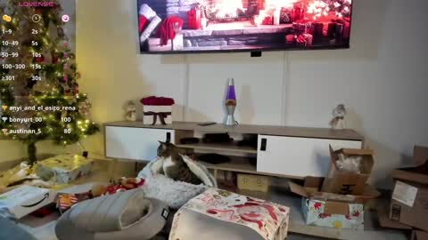 Snapshot of anyi_1 chatting on 7, 1, 2025 Anyi Orion and Pyxis online show from 7, 1, 2025