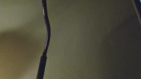 Snapshot of anytime07 chatting on 3, 3, 2026 Daddy online show from 3, 3, 2026