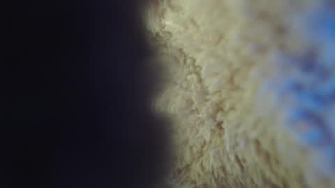 Snapshot of apriil_3 chatting on 5, 2, 2025 Abril Freelance Model online show from 5, 2, 2025