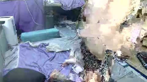 aquafoxxy online show from 2, 3, 2026