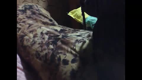 ara bellah online show from 21, 3, 2026