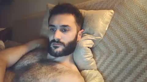 Snapshot of arabhairy90 chatting on 3, 12, 2024 hairycub online show from 3, 12, 2024
