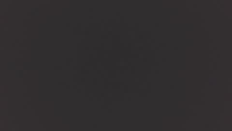 Snapshot of arabhairy90 chatting on 4, 12, 2024 hairycub online show from 4, 12, 2024