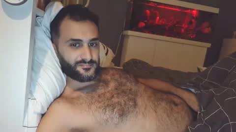 Snapshot of arabhairy90 chatting on 24, 12, 2024 hairycub online show from 24, 12, 2024