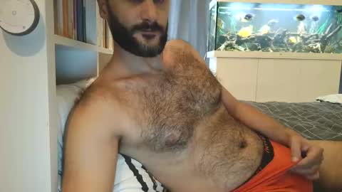 Snapshot of arabhairy90 chatting on 25, 12, 2024 hairycub online show from 25, 12, 2024
