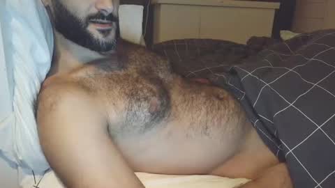 Snapshot of arabhairy90 chatting on 25, 12, 2024 hairycub online show from 25, 12, 2024