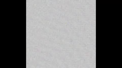 Arianna Collins online show from 2, 2, 2026